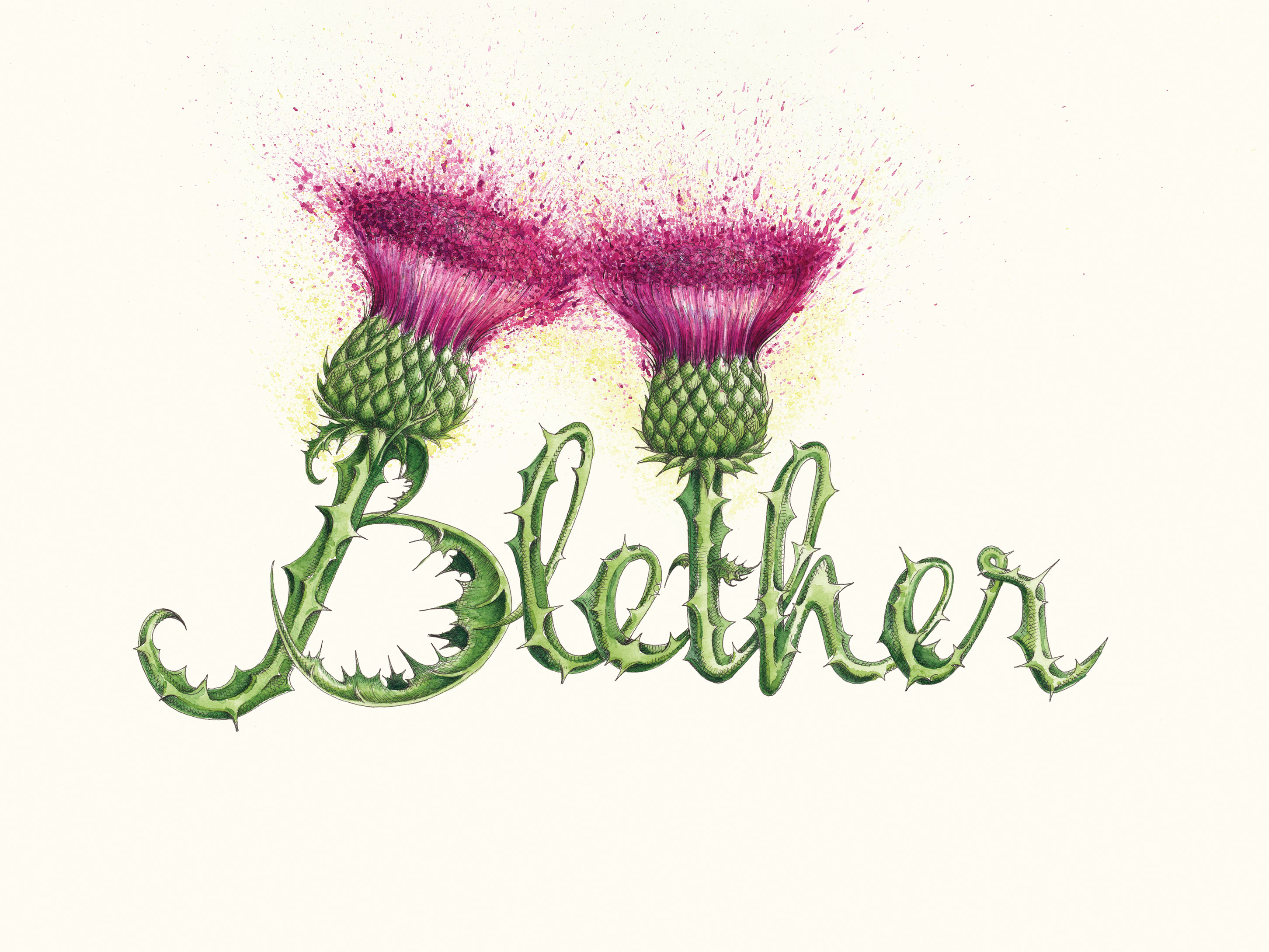 Blether a drawing by by Cat Lawson. Two thistles form the word blether with explosive colours bursting out of the thistle head.