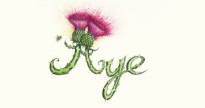 Aye a drawing by by Cat Lawson. Two thistles form the word aye with explosive colours bursting out of the thistle head.