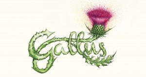 Gallus a drawing by by Cat Lawson. A thistle forms the word Gallus with explosive colours bursting out of the thistle head.