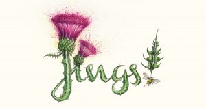 Jings a drawing by by Cat Lawson. A little thistle looks up at a large thistle, both forming the word jings with explosive colours bursting out of the thistle head.