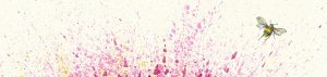 Colour splashes and bee