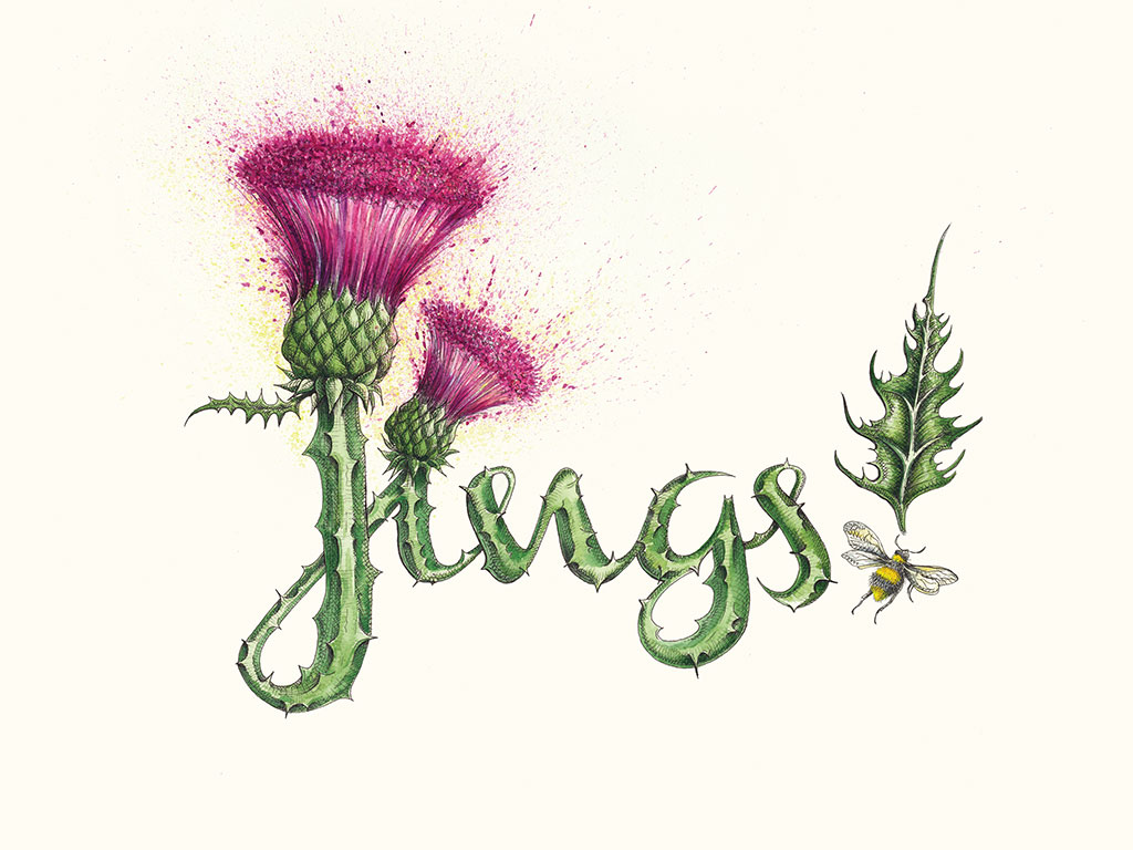 'Jings' by Cat Lawson