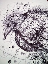 Close up of line drawing of bird head