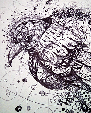 In progress line drawing of a bird wearing a cloak.
