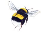 Illustration of black, yellow and white bumblebee flying away