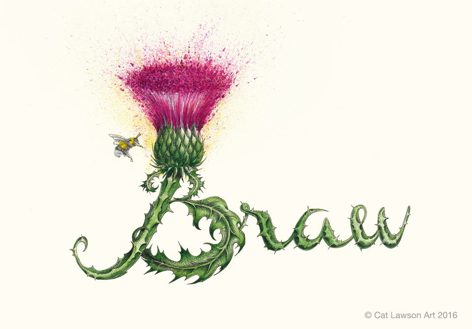 Illustration of the word 'Braw' formed by a thistle with a bee in hovering at thistle head